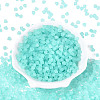 FGB Frosted Transparent Glass Seed Beads SEED-N013-03A-10-2