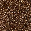 MIYUKI Round Rocailles Beads X-SEED-G009-RR0457L-2