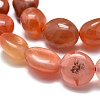 Natural South Red Agate Beads Strands X-G-O186-B-15-2