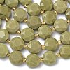 Natural Alashan Agate Beads Strands G-C116-A189-01-4