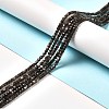 Natural Silver Sheen Obsidian Beads Strands G-D467-A01-4