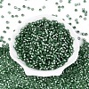 Silver Lined Glass Seed Beads SEED-T007-18A-06-2