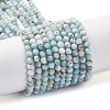 Natural Larimar Beads Strands G-F785-B01-01-2