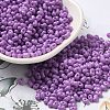 Baking Paint Glass Seed Beads SEED-K009-01B-11-1