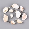 Brass & Natural Spiral Shell Pendants SHEL-Q029-13P-1