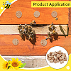 200Pcs Cork Bottle Stoppers FIND-BC0014-56-5