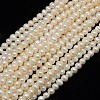 Natural Cultured Freshwater Pearl Beads Strands X1-PEAR-N013-06I-1