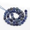 Dyed & Heated Natural Blue Aventurine Beads Strands X-G-R445-8x10-27-2
