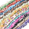 Dyed Natural Trochus Shell Beads Strands SSHEL-C013-09-1