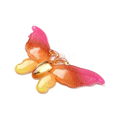 Gradient Color Resin Pendants RESI-Q012-03K-1
