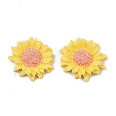 Opaque Resin Cabochons LS-CRES-T022-17F-1