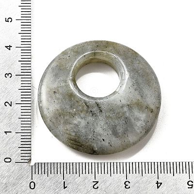 Natural Labradorite Pendants G-F524-H20-1