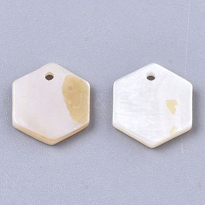 Natural Freshwater Shell Charms X-SHEL-R047-18-1