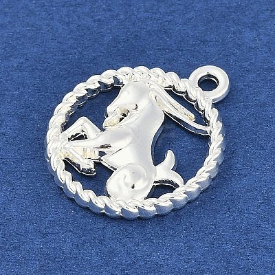 Twelve Constellations Alloy Pendants PALLOY-Q006-01C-S-1