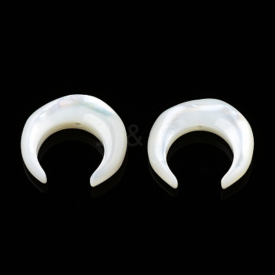 Natural White Shell Beads SSHEL-N034-122B-03-1
