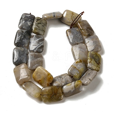 Natural Bamboo Leaf Agate Beads Strands G-NH0014-E01-01-1