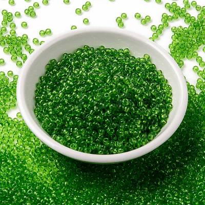 MIYUKI Round Rocailles Beads SEED-G008-RR0144-1