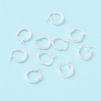 925 Sterling Silver Hoop Earrings STER-P047-13A-S-1