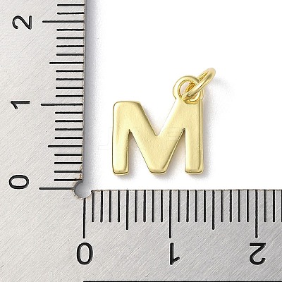 Rack Plating Brass Charms KK-P245-06G-M-1