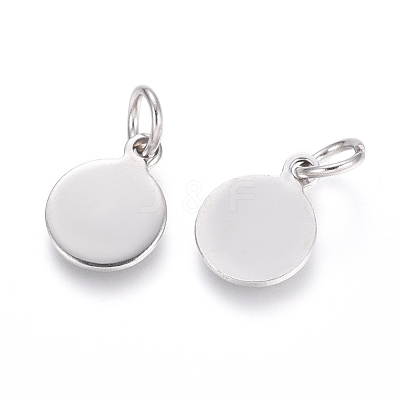 Non-Tarnish 304 Stainless Steel Charms STAS-I124-02B-P-1