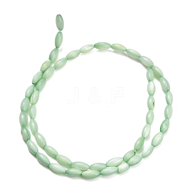 Natural Freshwater Shell Beads Strands SHEL-C010-01A-1