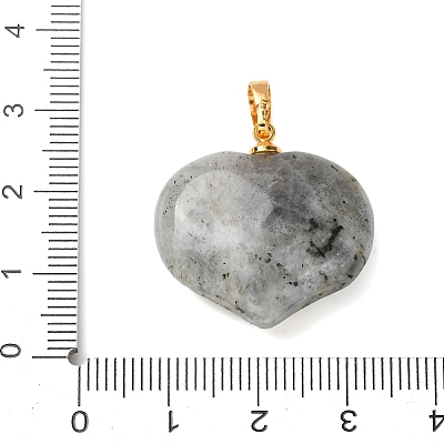 Natural Labradorite Pendants G-B188-02G-09-1