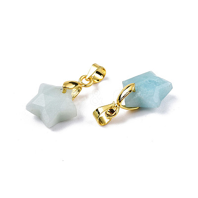 Natural Amazonite Charms X-G-N326-142-08-1