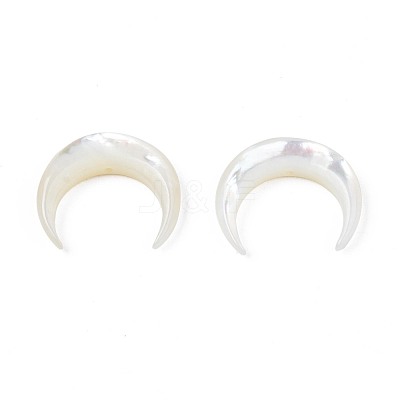Natural White Shell Mother of Pearl Shell Beads SSHEL-T012-07-1