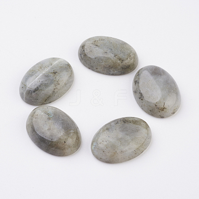 Natural Labradorite Flat Back Cabochons G-G741-18x25mm-18-1