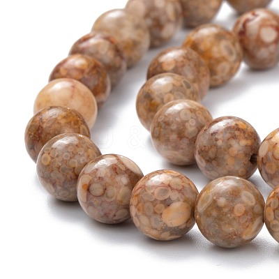 Natural Maifanite/Maifan Stone Beads Strands G-P451-01A-C-1