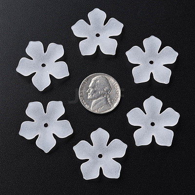 Transparent Acrylic Beads MACR-S373-119-D01-1