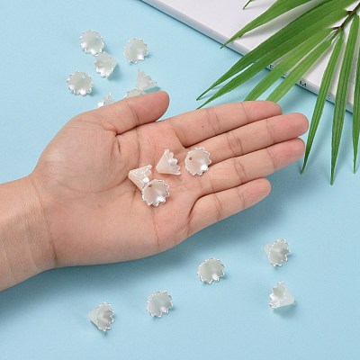 Multi-Petal Flower ABS Plastic Imitation Pearl Bead Caps X-OACR-R016-25-1
