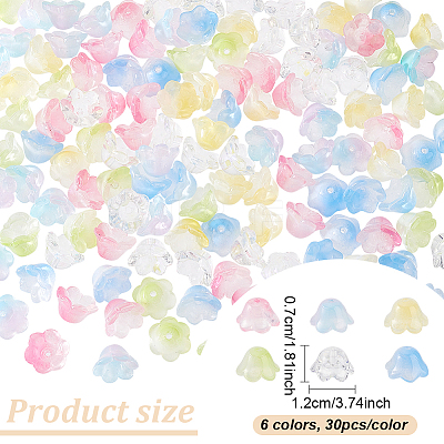 6 Colors Handmade Lampwork Beads LAMP-AN0001-01-1