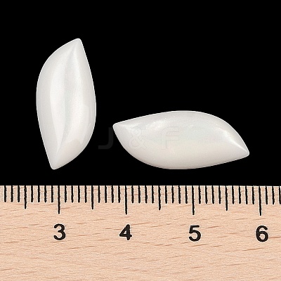 Opaque Resin Decoden Cabochons CRES-I036-14E-1