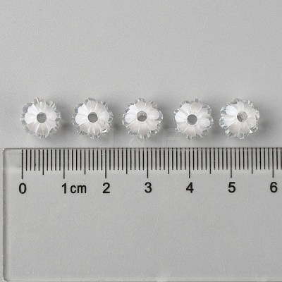 Transparent Acrylic Beads TACR-S089-10mm-01-1