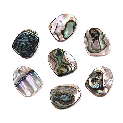 Natural Paua Shell Nuggets Charms SHEL-T020-11B-1