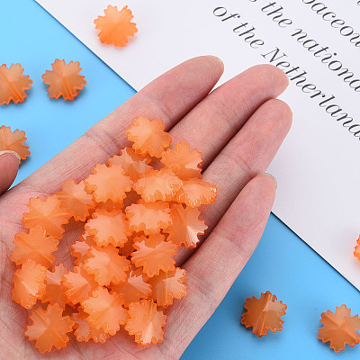 Imitation Jelly Acrylic Beads LS-MACR-S373-92-E05-1