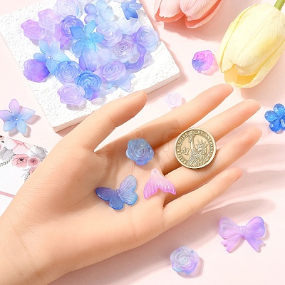 50G Transparent Acrylic Beads OACR-YW0002-44E-1