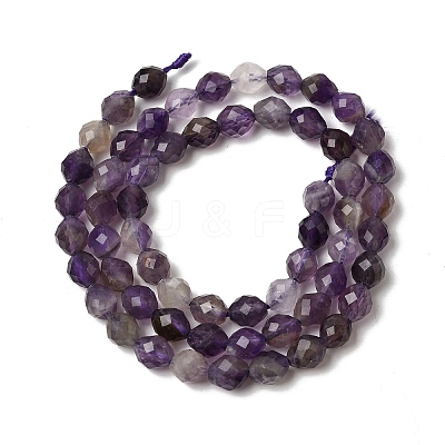 Natural Amethyst Beads Strands G-K376-F03-01-1