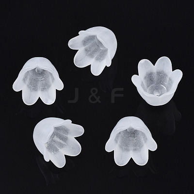 Transparent Acrylic Bead Caps FACR-N005-002A-1
