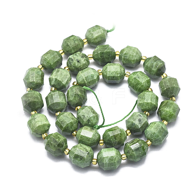 Natural Diopside Beads Strands G-K303-A10-12mm-1