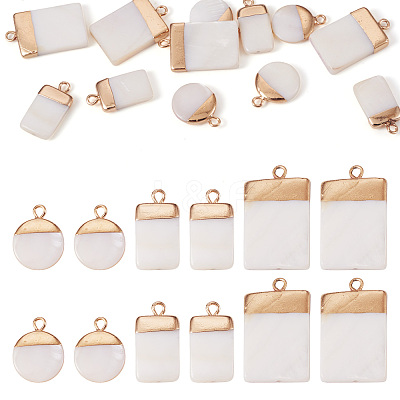 Electroplate Natural Freshwater Shell Pendants SHEL-TA0001-05-1