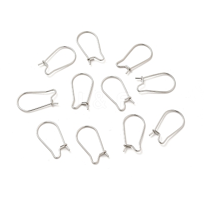 Tarnish Resistant 316 Surgical Stainless Steel Hoop Earrings Findings Kidney Ear Wires STAS-E009-6-1