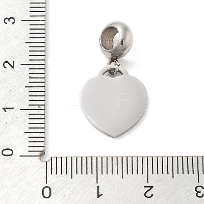 304 Stainless Steel European Dangle Charms OPDL-L013-38E-1