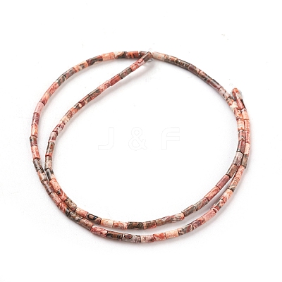 Natural Leopard Skin Jasper Beads Strands G-G783-17-1