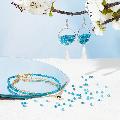 3 Strands Natural Apatite Beads Strands G-OC0004-69-1