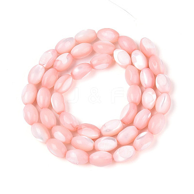 Natural Trochus Shell Beads Strands SHEL-K006-19-01F-1