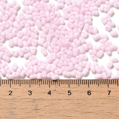 Glass Frosted Seed Beads SEED-K009-05B-02-1