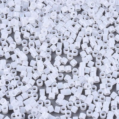 FGB 11/0 Grade A Glass Seed Beads X-SEED-S030-1141-1