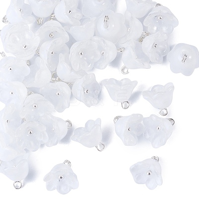 38Pcs Glass Charms GLAA-TADJ0001-19F-1